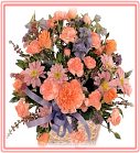 �ݸԲ��A��Ϥ�-�����ᩱ,�q��-�R��,�e�� flower.host-flower.com ���˸`§���d�D��