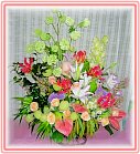 �ݸԲ��A��Ϥ�-�����ᩱ,�q��-�R��,�e�� flower.host-flower.com