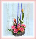 ��Tulip-�{����-�Բ��{������Ϥ�-�q��-�R��