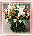 �ݸԲӺ�o�֪�Ϥ�-�����ᩱ,�q��-�R��,�e�� flower.host-flower.com