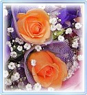 �ݸԲӺ�o����Ϥ�-�����ᩱ,�q��-�R��,�e�� flower.host-flower.com ���˸`§��,�d�D��