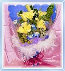 �ݸԲӺ�o����Ϥ�-�����ᩱ,�q��-�R��,�e�� flower.host-flower.com ���˸`§��,�d�D��