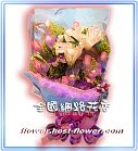 �ݸԲӺ�o����Ϥ�-�����ᩱ,�q��-�R��,�e�� flower.host-flower.com ���˸`§��,�d�D��