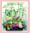 �ݸԲӺ�o����Ϥ�-�����ᩱ,�q��-�R��,�e�� flower.host-flower.com