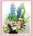 �ݸԲӺ�o����Ϥ�-�����ᩱ,�q��-�R��,�e�� flower.host-flower.com