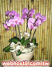 GO�A��j�Ϥ�,�ڭn �q��-�R��,�����ᩱ�q��0952792139,http://www.web-flower.tw/flower/