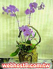 GO�A��j�Ϥ�,�ڭn �q��-�R��,�����ᩱ�q��0952792139,http://www.web-flower.tw/flower/