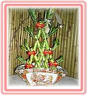 �h���A��j�Ϥ�,�ڭn �����ᩱ�q��-�R��,���ٺ����ᩱ�q��0952792139,http://www.web-flower.tw/flower/