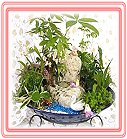 �h���A��j�Ϥ�,�ڭn �����ᩱ�q��-�R��,���ٺ����ᩱ�q��0952792139,http://www.web-flower.tw/flower/