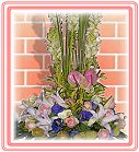 See �A��j�Ϥ�,�h�����ᩱ�q��-�R��,����24H�����ᩱ�q��0952792139,http://www.web-flower.tw/flower/