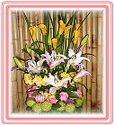 See �A��j�Ϥ�,�h�����ᩱ�q��-�R��,����24H�����ᩱ�q��0952792139,http://www.web-flower.tw/flower/