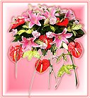 GO�A��j�Ϥ�,�ڭn �q��-�R��,�����ᩱ�q��0952792139