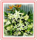 ���A��--�j��-�P����x���ᨮ�i�O�l��§��-�R��q������ᩱ�q��,24H�q��R����ٺ����ᩱ�q��
