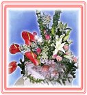 �ݤ��G§�x�A��j��-�R��-�q��-����-�e��-�����ᩱ�q��I