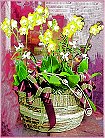 GO�A��j�Ϥ�,�ڭn �q��-�R��,�����ᩱ�q��0952792139,http://www.web-flower.tw/flower/