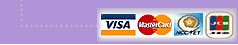 �������ĥ�VISA�w�����-�u�W��d