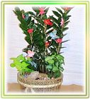 �ݭ�o�j�}�B�֪�Ϥ�,flower-love-rose,Valentine's Day,���H�`�q��,�R��,�����ᩱ�q��