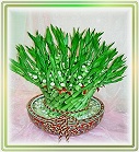 �ݭ�o�j�}�B��_��Ϥ�..