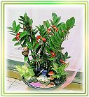 �ݭ�o�j�}�B�֪�Ϥ�..,flower-love-rose,Valentine's Day,���H�`�q��,�R��,�����ᩱ�q��