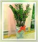 �ݭ�o�j�}�B�֪�Ϥ�..,flower-love-rose,Valentine's Day,���H�`�q��,�R��,�����ᩱ�q��